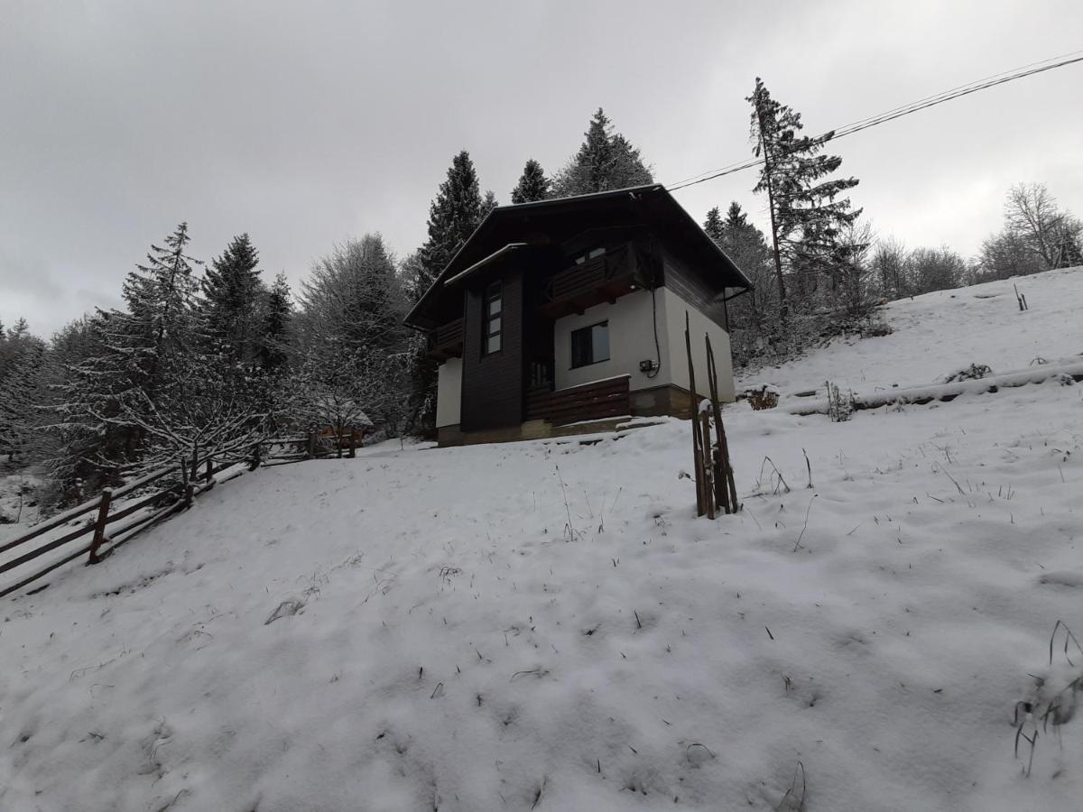 Під Боржавою Pilipets Exterior photo
