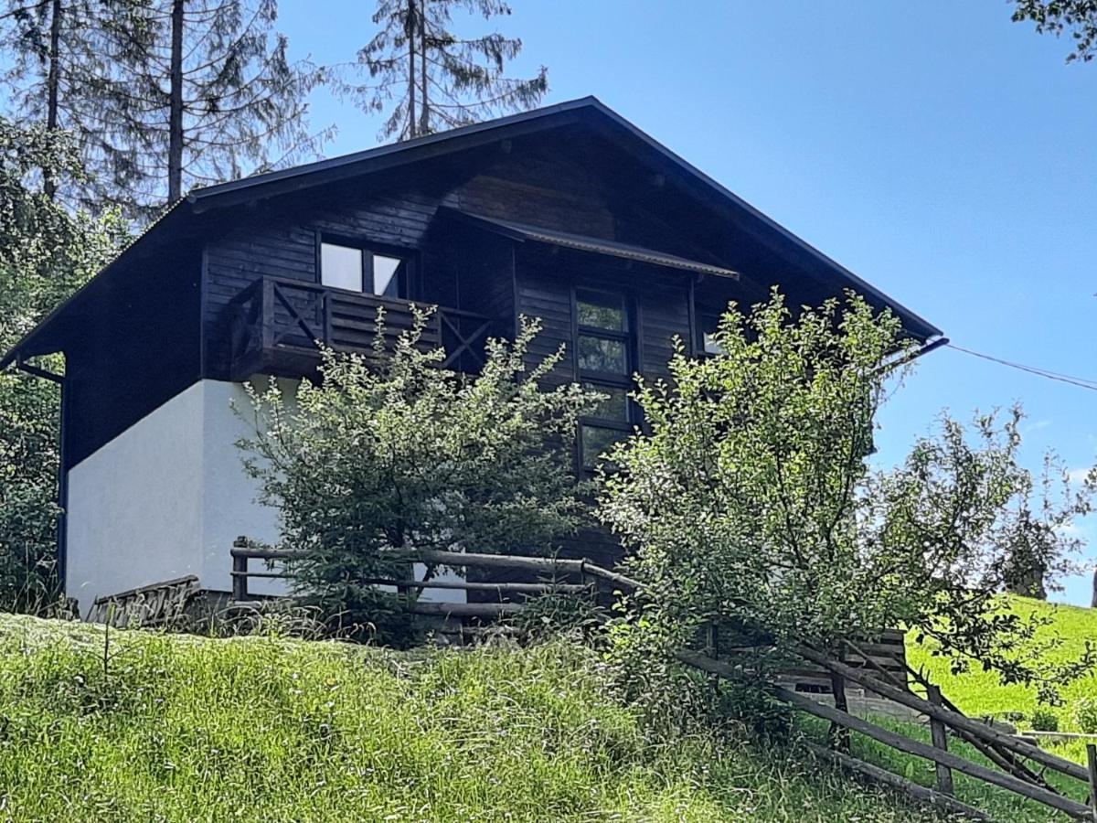 Під Боржавою Pilipets Exterior photo